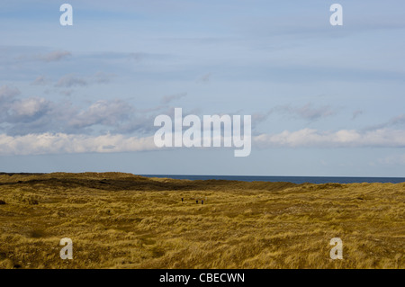 Winterton Dünen nationale Naturreservat Stockfoto