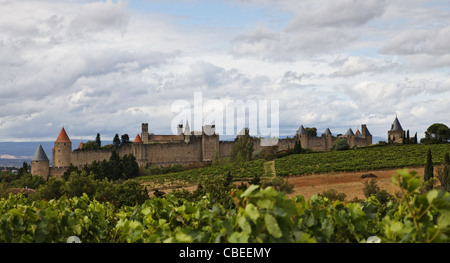 Bild der befestigten Stadt Carcassonne aus einem Weinberg in der Nähe gesehen. Stockfoto