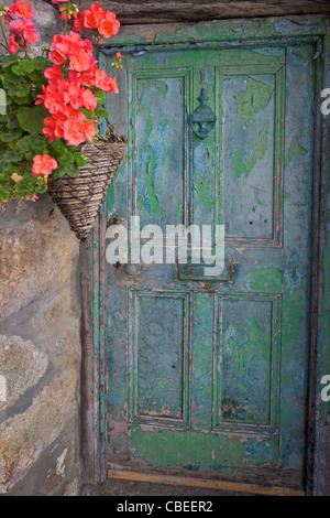 Alte bemalte hölzerne Eingangstür, The Digey, St. Ives, Cornwall, südwestlich, England, GB, Großbritannien, UK, Vereinigtes Königreich, Brite/Britin Stockfoto