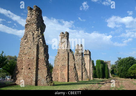 Ruinen und Ziegelsteinsäulen des ruinierten römischen Aquädukts Frejus Var Frankreich Stockfoto