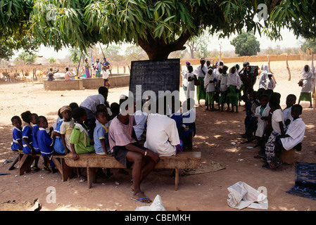 Gambia. Schülerinnen und Schüler besucht Klasse außerhalb mit der Tafel einrichten unter einem Mangobaum mit Kühen und das Dorf gut. Stockfoto