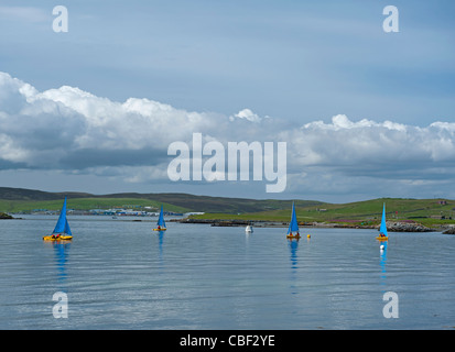 Die Vorteile eines Zaubers von ruhigem Wetter in den Sound von Bressay, Shetland-Inseln, Schottland.  SCO 7764 Stockfoto