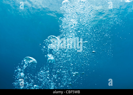 Bubbles von Taucher steigt an die Oberfläche im blauen Meer Stockfoto