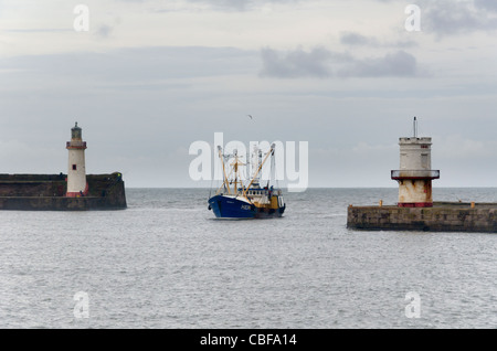 Ein Fischerboot 'Natalie B' eine Jakobsmuschel Schaufler im Rumpf registriert Eingabe Hafen Whitehaven, Cumbria, England, UK. Stockfoto