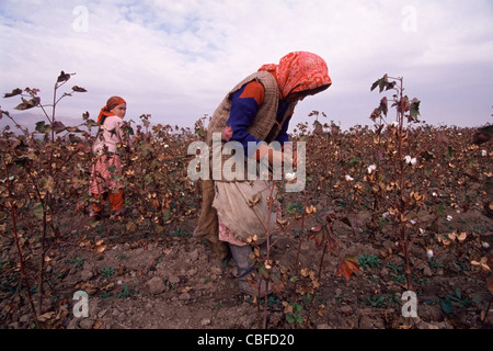 Young-tadschikischen Mädchen Baumwollfeldern Tadschikistan Highway A385 100km südöstlich von Dushanbe. Stockfoto