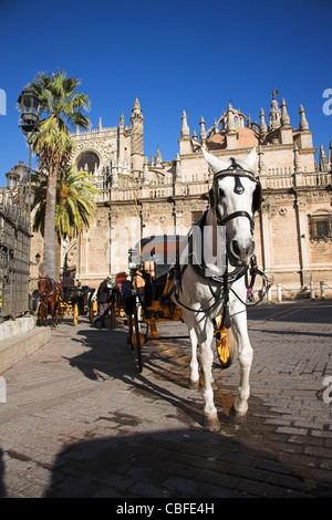 Plaza del Triunfo, Sevilla, Spanien Stockfoto