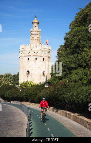 Torre del Oro, Sevilla, Spanien Stockfoto