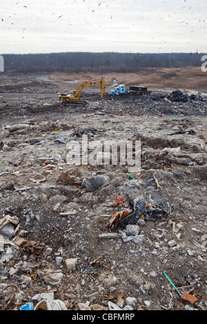 Smiths Creek, Michigan - Deponien ein LKW Müll im St. Clair County Smith Creek Deponie. Stockfoto