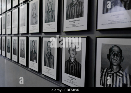 Fotos von männlichen Gefangenen im NS-Konzentrationslager Auschwitz I Stockfoto