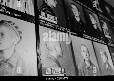 Fotografien von Kind Gefangenen im NS-Konzentrationslager Auschwitz I Stockfoto