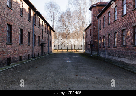 Elektrozaun bei Nazi-Konzentrationslager Auschwitz Stockfoto