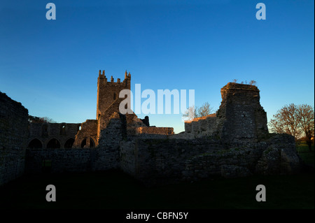 12. Jahrhundert Ruinen Zisterzienser Jerpoint Abbey, in der Nähe von Thomastown, Grafschaft Kilkenny, Irland Stockfoto