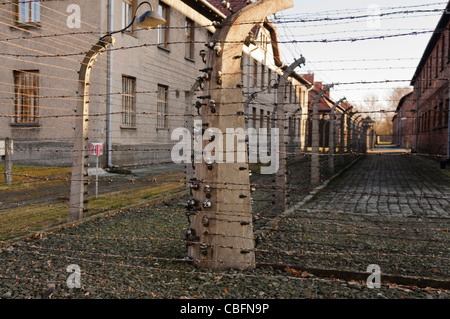 Elektrozaun bei Nazi-Konzentrationslager Auschwitz zu entfliehen-Kaserne Stockfoto