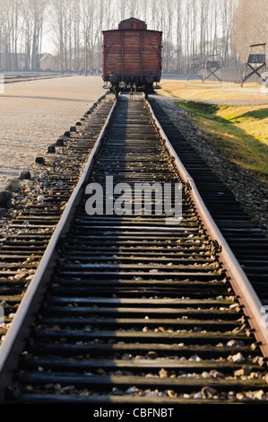 Viehtransporter zum Transport Hunderte von Juden ins KZ Auschwitz Berkenau Stockfoto