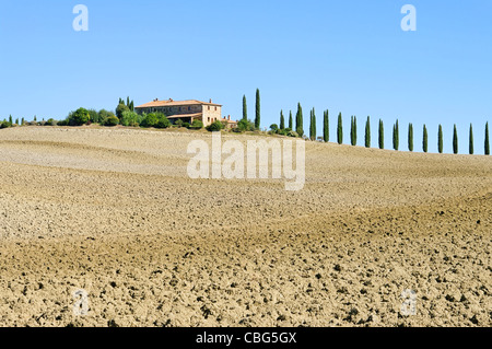 Podere Im Herbst - Podere im Herbst 04 Stockfoto