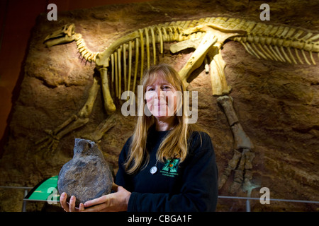 Penny Newbury. Paläontologe, Dinosauriermuseum, Sandown, Isle of Wight, England, Großbritannien, Rekonstruktion, Iguanodon, Skelett, Modell, Bernissartensis Stockfoto