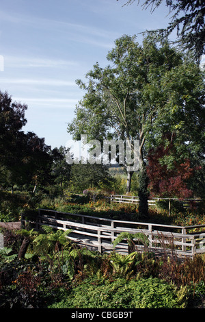 RHS HYDE HALL. DER ROBINSON-GARTEN. ESSEX UK. Stockfoto