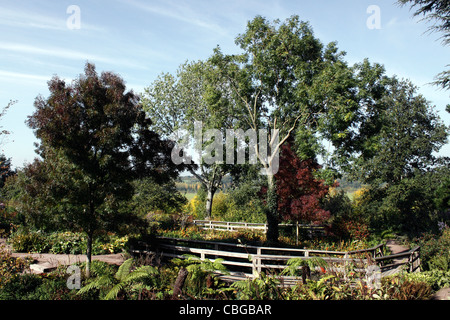 RHS HYDE HALL. DER ROBINSON-GARTEN. ESSEX UK. Stockfoto