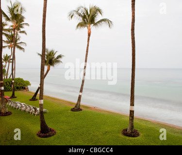 Palmen und Liegestühle am Strand von Maui, Hawaii Stockfoto