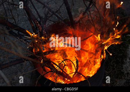 Äste in Brand in Trommel Stockfoto