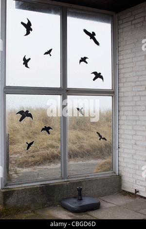 Vogelschwarm schwarz lackiert auf Fenster Stockfoto