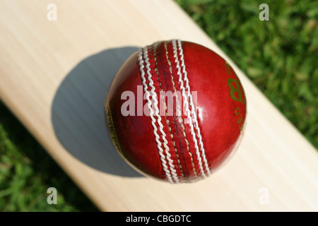 Kricketschläger und Kricket Kugeln. Sportgeräte Stockfoto