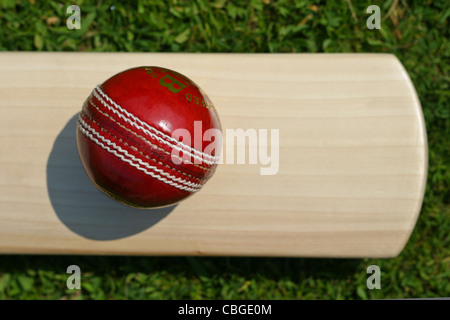 Kricketschläger und Kricket Kugeln. Sportgeräte Stockfoto