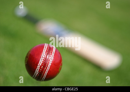 Kricketschläger und Kricket Kugeln. Sportgeräte Stockfoto