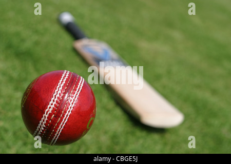 Kricketschläger und Kricket Kugeln. Sportgeräte Stockfoto