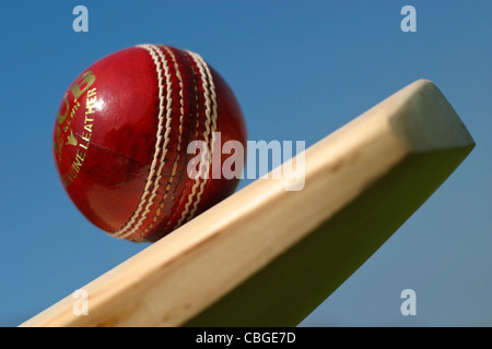 Kricketschläger und Kricket Kugeln. Sportgeräte Stockfoto