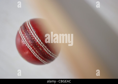 Kricketschläger und Kricket Kugeln. Sportgeräte Stockfoto