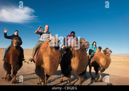 Touristen, die Twin bucklig baktrischen Kamelreiten in der Wüste Gobi in der Mongolei Stockfoto