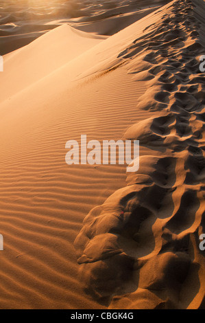 die Sanddünen von Khongoryn Els bei Sonnenuntergang in der Wüste Gobi in der Mongolei Stockfoto