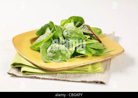 Junge Schweizer Mangoldgemüse Blätter auf quadratischen Platte Stockfoto