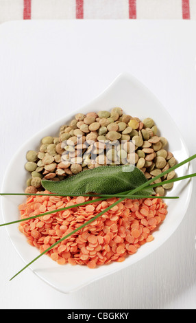 Getrocknete rote Split Linsen und große grüne Linsen Stockfoto