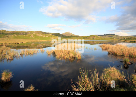 Abendlicht am Aal Tarn über Eskdale im Lake District National Park - mit Harter fiel in der Ferne Stockfoto