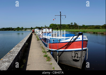 Etang de Baye Teich und Nivernais Kanal, Nationalpark Morvan, Nièvre, Burgund, Frankreich Stockfoto