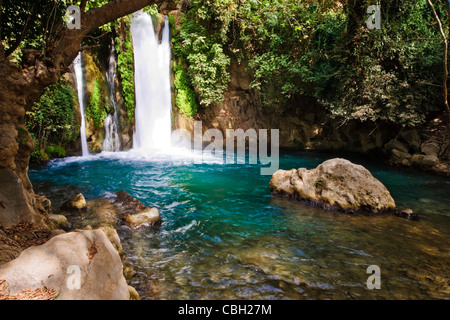 Israel. Der Wasserfall an der Banias Nature reserve im oberen Galiläa Bereich. Stockfoto