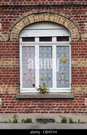 Fenster in alten roten Backsteinmauer mit Spitze Gardinen Bergues Frankreich Stockfoto