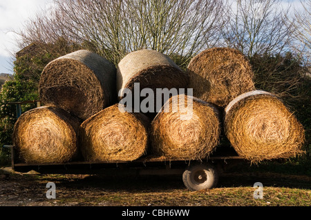 Heuballen auf einem Bauernhof Trailer West Sussex England Großbritannien Stockfoto