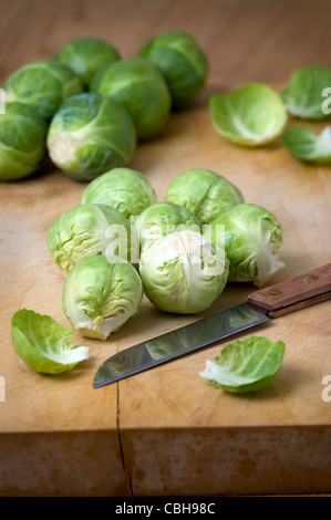 Vorbereitung von Brussel Sprossen zum Kochen Stockfoto