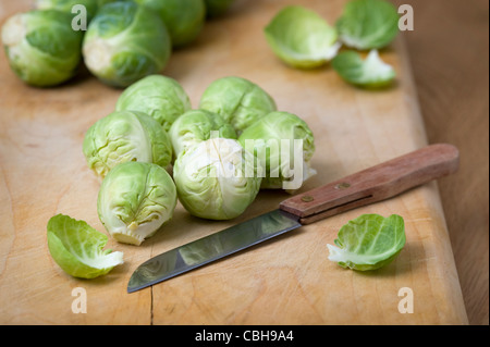 Vorbereitung von Brussel Sprossen zum Kochen Stockfoto