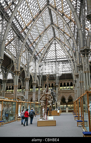 Natural History Museum in Oxford Stockfoto