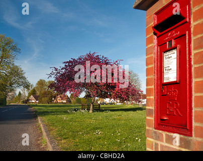 Royal Mail rote Post Box und Village Green hinter im Frühjahr Farbe senden Ripley Surrey UK Stockfoto