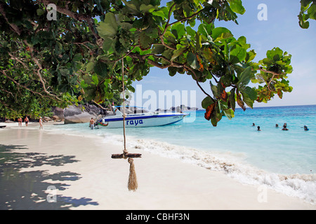 Tropischen Sandstrand Szene mit Bäumen und Felsen auf Miang Insel, Similan Inseln, Phang-Nga, in der Nähe von Phuket, Thailand Stockfoto