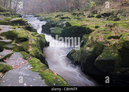 Die Strid im Herbst Stockfoto