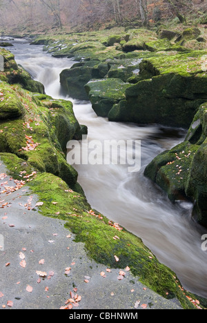 Die Strid im Herbst Stockfoto