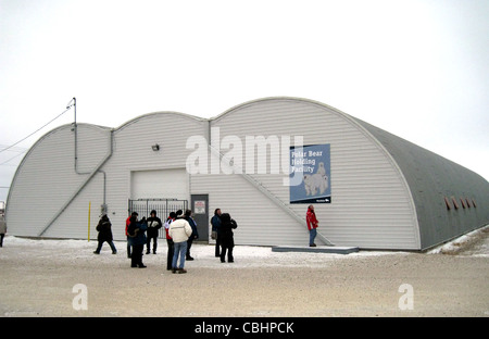 VERWAHRUNGSANSTALT Eisbären in Churchill, Kanada. Foto Tony Gale Stockfoto