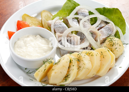 Matjes mit Kartoffeln und Mayonnaise Stockfoto