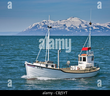 Angelboot/Fischerboot in der Nähe von Akureyri Hafen Eyjafjordur, Island Stockfoto